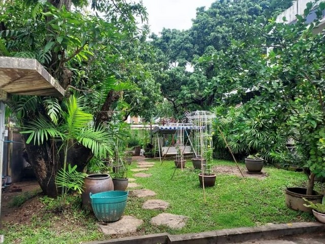 ประกาศฟรี! ซื้อ-ขาย-เช่า คอนโด บ้าน ทาวน์โฮม ที่ดิน และพื้นที่เชิงพาณิชย์ทั่วประเทศไทย ทุกทำเล ทุกงบประมาณ ไม่มีค่าใช้จ่าย ลงง่าย ขายไว เข้าถึงผู้ซื้อโดยตรง 3 168053pic2.jpg