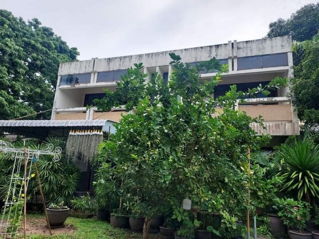 ประกาศฟรี! ซื้อ-ขาย-เช่า คอนโด บ้าน ทาวน์โฮม ที่ดิน และพื้นที่เชิงพาณิชย์ทั่วประเทศไทย ทุกทำเล ทุกงบประมาณ ไม่มีค่าใช้จ่าย ลงง่าย ขายไว เข้าถึงผู้ซื้อโดยตรง 4 168053pic3.jpg