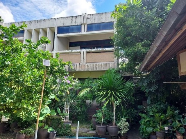 ประกาศฟรี! ซื้อ-ขาย-เช่า คอนโด บ้าน ทาวน์โฮม ที่ดิน และพื้นที่เชิงพาณิชย์ทั่วประเทศไทย ทุกทำเล ทุกงบประมาณ ไม่มีค่าใช้จ่าย ลงง่าย ขายไว เข้าถึงผู้ซื้อโดยตรง 5 168053pic4.jpg