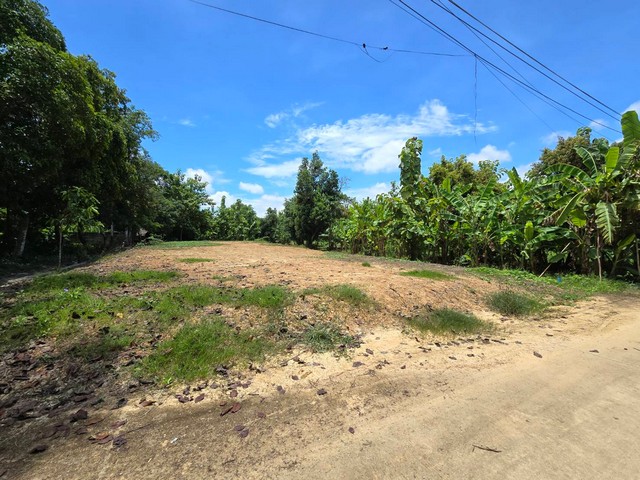 ประกาศฟรี! ซื้อ-ขาย-เช่า คอนโด บ้าน ทาวน์โฮม ที่ดิน และพื้นที่เชิงพาณิชย์ทั่วประเทศไทย ทุกทำเล ทุกงบประมาณ ไม่มีค่าใช้จ่าย ลงง่าย ขายไว เข้าถึงผู้ซื้อโดยตรง 2 20897pic1.jpg