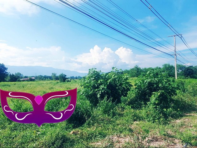 ประกาศฟรี! ซื้อ-ขาย-เช่า คอนโด บ้าน ทาวน์โฮม ที่ดิน และพื้นที่เชิงพาณิชย์ทั่วประเทศไทย ทุกทำเล ทุกงบประมาณ ไม่มีค่าใช้จ่าย ลงง่าย ขายไว เข้าถึงผู้ซื้อโดยตรง 2 7368pic1.jpg