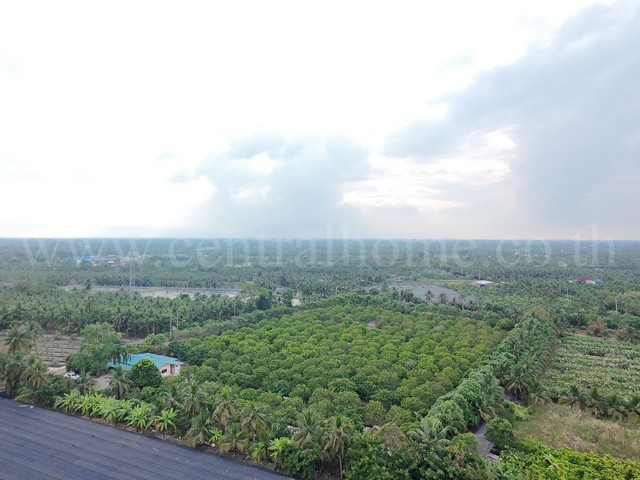 ประกาศฟรี! ซื้อ-ขาย-เช่า คอนโด บ้าน ทาวน์โฮม ที่ดิน และพื้นที่เชิงพาณิชย์ทั่วประเทศไทย ทุกทำเล ทุกงบประมาณ ไม่มีค่าใช้จ่าย ลงง่าย ขายไว เข้าถึงผู้ซื้อโดยตรง 4 235851pic3.jpg