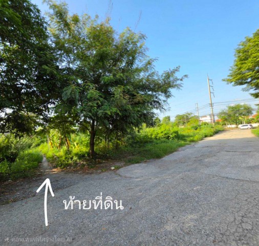 ประกาศฟรี! ซื้อ-ขาย-เช่า คอนโด บ้าน ทาวน์โฮม ที่ดิน และพื้นที่เชิงพาณิชย์ทั่วประเทศไทย ทุกทำเล ทุกงบประมาณ ไม่มีค่าใช้จ่าย ลงง่าย ขายไว เข้าถึงผู้ซื้อโดยตรง 2 327094pic1.jpg