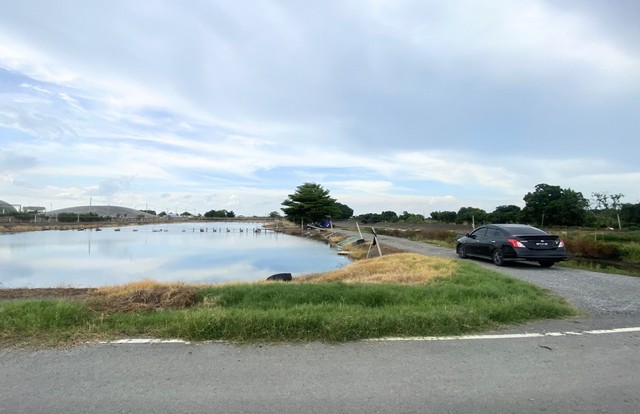 ประกาศฟรี! ซื้อ-ขาย-เช่า คอนโด บ้าน ทาวน์โฮม ที่ดิน และพื้นที่เชิงพาณิชย์ทั่วประเทศไทย ทุกทำเล ทุกงบประมาณ ไม่มีค่าใช้จ่าย ลงง่าย ขายไว เข้าถึงผู้ซื้อโดยตรง 3 11349pic2.jpg