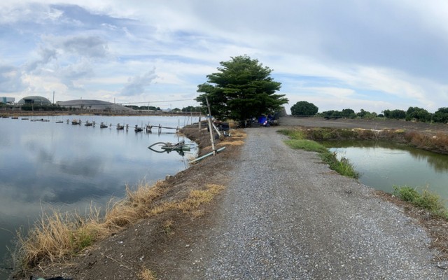 ประกาศฟรี! ซื้อ-ขาย-เช่า คอนโด บ้าน ทาวน์โฮม ที่ดิน และพื้นที่เชิงพาณิชย์ทั่วประเทศไทย ทุกทำเล ทุกงบประมาณ ไม่มีค่าใช้จ่าย ลงง่าย ขายไว เข้าถึงผู้ซื้อโดยตรง 4 11349pic3.jpg