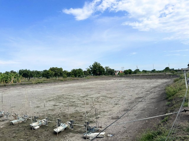 ประกาศฟรี! ซื้อ-ขาย-เช่า คอนโด บ้าน ทาวน์โฮม ที่ดิน และพื้นที่เชิงพาณิชย์ทั่วประเทศไทย ทุกทำเล ทุกงบประมาณ ไม่มีค่าใช้จ่าย ลงง่าย ขายไว เข้าถึงผู้ซื้อโดยตรง 5 11349pic4.jpg