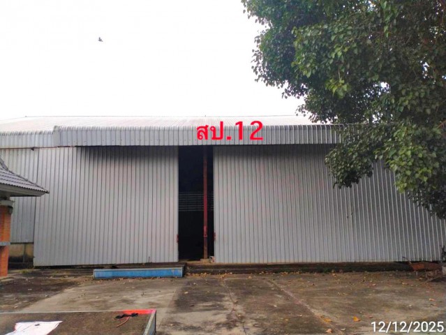 ประกาศฟรี! ซื้อ-ขาย-เช่า คอนโด บ้าน ทาวน์โฮม ที่ดิน และพื้นที่เชิงพาณิชย์ทั่วประเทศไทย ทุกทำเล ทุกงบประมาณ ไม่มีค่าใช้จ่าย ลงง่าย ขายไว เข้าถึงผู้ซื้อโดยตรง 2 288838pic1.jpg