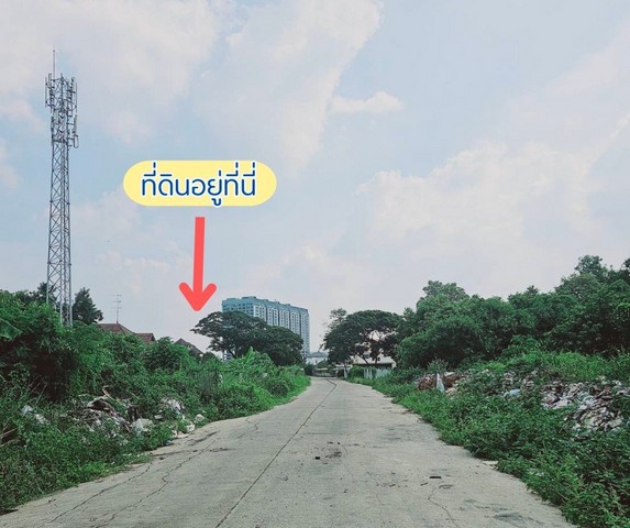 ประกาศฟรี! ซื้อ-ขาย-เช่า คอนโด บ้าน ทาวน์โฮม ที่ดิน และพื้นที่เชิงพาณิชย์ทั่วประเทศไทย ทุกทำเล ทุกงบประมาณ ไม่มีค่าใช้จ่าย ลงง่าย ขายไว เข้าถึงผู้ซื้อโดยตรง 3 325702pic2.jpg