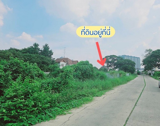 ประกาศฟรี! ซื้อ-ขาย-เช่า คอนโด บ้าน ทาวน์โฮม ที่ดิน และพื้นที่เชิงพาณิชย์ทั่วประเทศไทย ทุกทำเล ทุกงบประมาณ ไม่มีค่าใช้จ่าย ลงง่าย ขายไว เข้าถึงผู้ซื้อโดยตรง 4 325702pic3.jpg