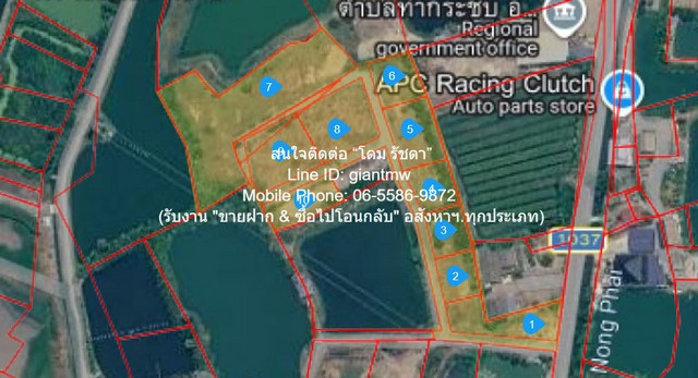 ประกาศฟรี! ซื้อ-ขาย-เช่า คอนโด บ้าน ทาวน์โฮม ที่ดิน และพื้นที่เชิงพาณิชย์ทั่วประเทศไทย ทุกทำเล ทุกงบประมาณ ไม่มีค่าใช้จ่าย ลงง่าย ขายไว เข้าถึงผู้ซื้อโดยตรง 2 327597pic1.jpg