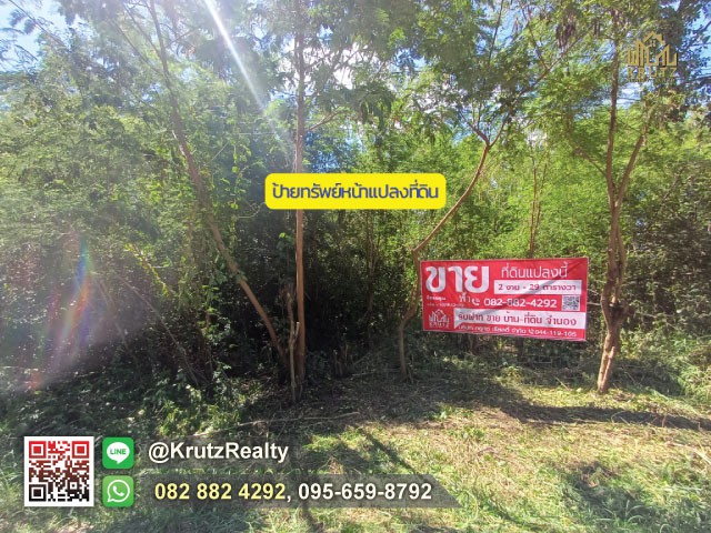 ประกาศฟรี! ซื้อ-ขาย-เช่า คอนโด บ้าน ทาวน์โฮม ที่ดิน และพื้นที่เชิงพาณิชย์ทั่วประเทศไทย ทุกทำเล ทุกงบประมาณ ไม่มีค่าใช้จ่าย ลงง่าย ขายไว เข้าถึงผู้ซื้อโดยตรง 2 293114pic1.jpg