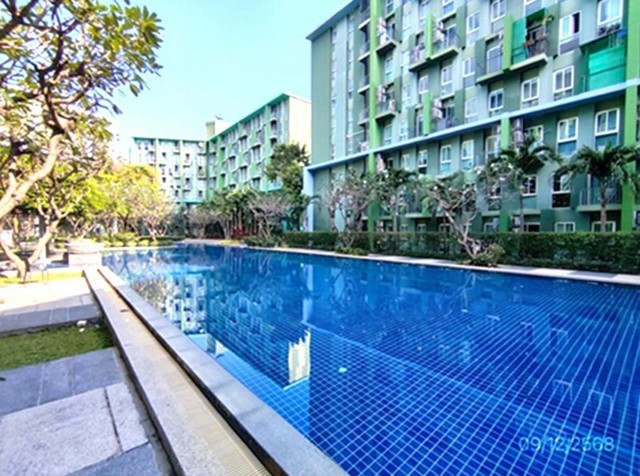 ประกาศฟรี! ซื้อ-ขาย-เช่า คอนโด บ้าน ทาวน์โฮม ที่ดิน และพื้นที่เชิงพาณิชย์ทั่วประเทศไทย ทุกทำเล ทุกงบประมาณ ไม่มีค่าใช้จ่าย ลงง่าย ขายไว เข้าถึงผู้ซื้อโดยตรง 3 292062pic2.jpg
