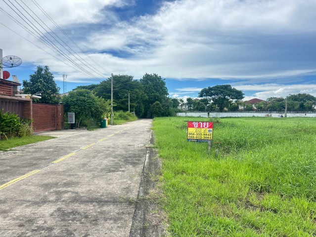 ประกาศฟรี! ซื้อ-ขาย-เช่า คอนโด บ้าน ทาวน์โฮม ที่ดิน และพื้นที่เชิงพาณิชย์ทั่วประเทศไทย ทุกทำเล ทุกงบประมาณ ไม่มีค่าใช้จ่าย ลงง่าย ขายไว เข้าถึงผู้ซื้อโดยตรง 2 535176pic1.jpg