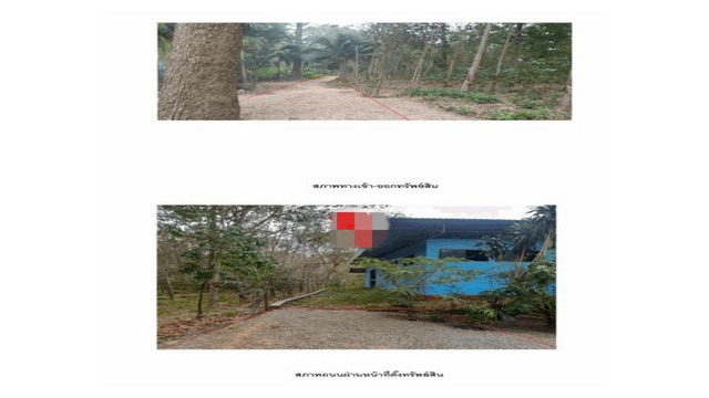 ประกาศฟรี! ซื้อ-ขาย-เช่า คอนโด บ้าน ทาวน์โฮม ที่ดิน และพื้นที่เชิงพาณิชย์ทั่วประเทศไทย ทุกทำเล ทุกงบประมาณ ไม่มีค่าใช้จ่าย ลงง่าย ขายไว เข้าถึงผู้ซื้อโดยตรง 3 168158pic2.jpg