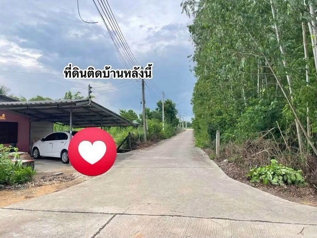 ประกาศฟรี! ซื้อ-ขาย-เช่า คอนโด บ้าน ทาวน์โฮม ที่ดิน และพื้นที่เชิงพาณิชย์ทั่วประเทศไทย ทุกทำเล ทุกงบประมาณ ไม่มีค่าใช้จ่าย ลงง่าย ขายไว เข้าถึงผู้ซื้อโดยตรง 2 297105pic1.jpg