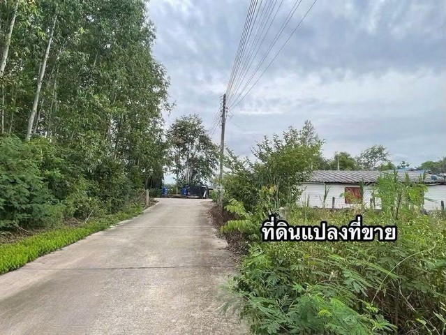 ประกาศฟรี! ซื้อ-ขาย-เช่า คอนโด บ้าน ทาวน์โฮม ที่ดิน และพื้นที่เชิงพาณิชย์ทั่วประเทศไทย ทุกทำเล ทุกงบประมาณ ไม่มีค่าใช้จ่าย ลงง่าย ขายไว เข้าถึงผู้ซื้อโดยตรง 5 297105pic4.jpg