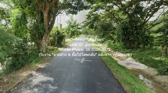 ประกาศฟรี! ซื้อ-ขาย-เช่า คอนโด บ้าน ทาวน์โฮม ที่ดิน และพื้นที่เชิงพาณิชย์ทั่วประเทศไทย ทุกทำเล ทุกงบประมาณ ไม่มีค่าใช้จ่าย ลงง่าย ขายไว เข้าถึงผู้ซื้อโดยตรง 2 325732pic1.jpg