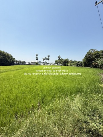 ประกาศฟรี! ซื้อ-ขาย-เช่า คอนโด บ้าน ทาวน์โฮม ที่ดิน และพื้นที่เชิงพาณิชย์ทั่วประเทศไทย ทุกทำเล ทุกงบประมาณ ไม่มีค่าใช้จ่าย ลงง่าย ขายไว เข้าถึงผู้ซื้อโดยตรง 5 325732pic4.jpg