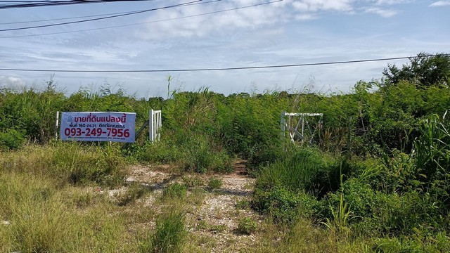 ประกาศฟรี! ซื้อ-ขาย-เช่า คอนโด บ้าน ทาวน์โฮม ที่ดิน และพื้นที่เชิงพาณิชย์ทั่วประเทศไทย ทุกทำเล ทุกงบประมาณ ไม่มีค่าใช้จ่าย ลงง่าย ขายไว เข้าถึงผู้ซื้อโดยตรง 2 247496pic1.jpg