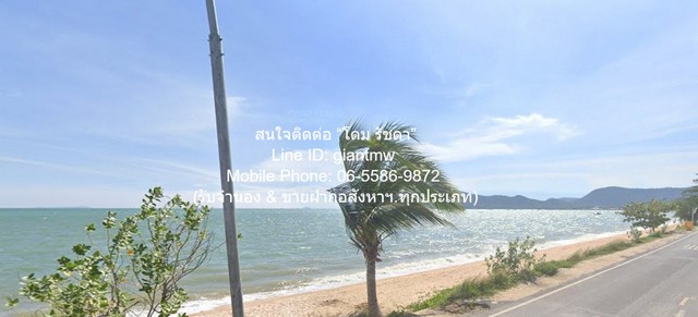 ประกาศฟรี! ซื้อ-ขาย-เช่า คอนโด บ้าน ทาวน์โฮม ที่ดิน และพื้นที่เชิงพาณิชย์ทั่วประเทศไทย ทุกทำเล ทุกงบประมาณ ไม่มีค่าใช้จ่าย ลงง่าย ขายไว เข้าถึงผู้ซื้อโดยตรง 5 291039pic4.jpg
