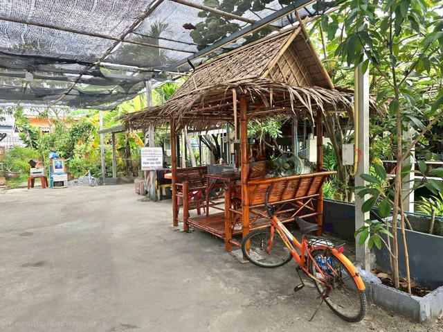 ประกาศฟรี! ซื้อ-ขาย-เช่า คอนโด บ้าน ทาวน์โฮม ที่ดิน และพื้นที่เชิงพาณิชย์ทั่วประเทศไทย ทุกทำเล ทุกงบประมาณ ไม่มีค่าใช้จ่าย ลงง่าย ขายไว เข้าถึงผู้ซื้อโดยตรง 4 328507pic3.jpg