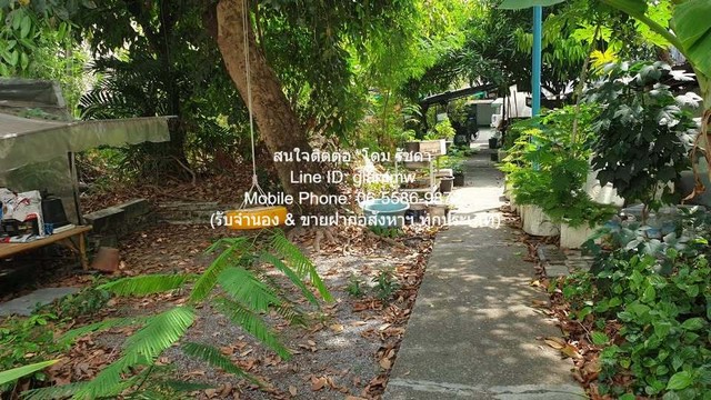 ประกาศฟรี! ซื้อ-ขาย-เช่า คอนโด บ้าน ทาวน์โฮม ที่ดิน และพื้นที่เชิงพาณิชย์ทั่วประเทศไทย ทุกทำเล ทุกงบประมาณ ไม่มีค่าใช้จ่าย ลงง่าย ขายไว เข้าถึงผู้ซื้อโดยตรง 4 289236pic3.jpg