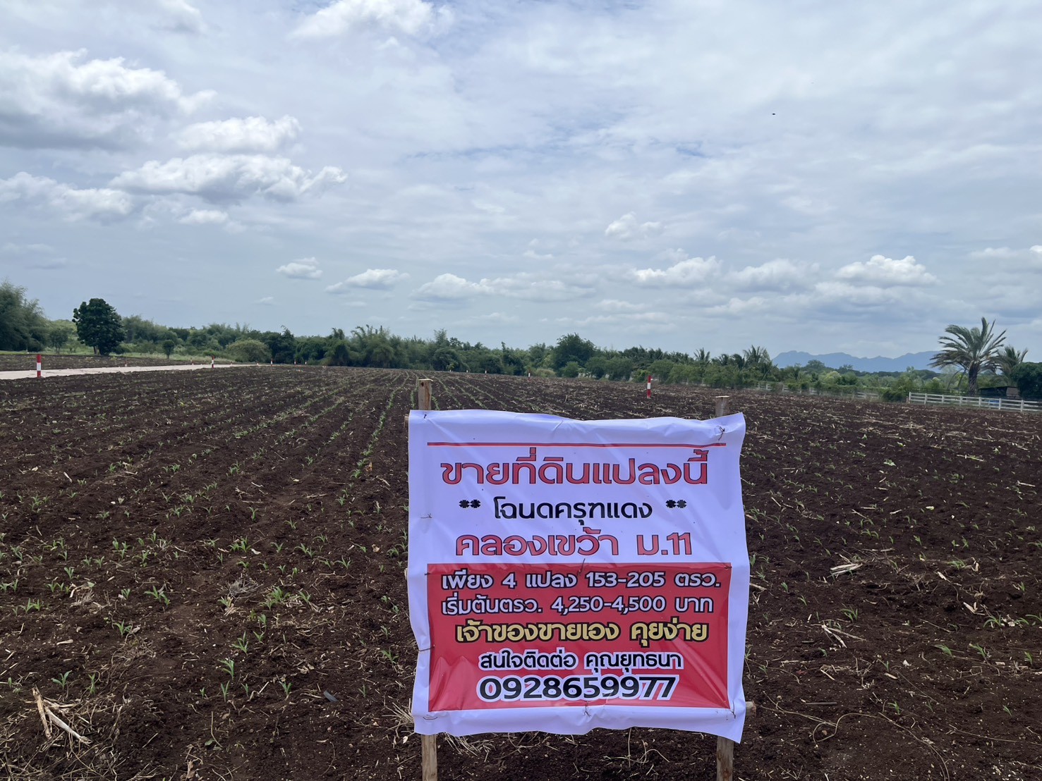 ประกาศฟรี! ซื้อ-ขาย-เช่า คอนโด บ้าน ทาวน์โฮม ที่ดิน และพื้นที่เชิงพาณิชย์ทั่วประเทศไทย ทุกทำเล ทุกงบประมาณ ไม่มีค่าใช้จ่าย ลงง่าย ขายไว เข้าถึงผู้ซื้อโดยตรง 4 296240pic3.jpg