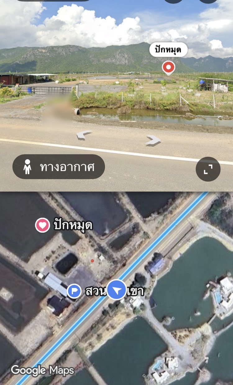 ประกาศฟรี! ซื้อ-ขาย-เช่า คอนโด บ้าน ทาวน์โฮม ที่ดิน และพื้นที่เชิงพาณิชย์ทั่วประเทศไทย ทุกทำเล ทุกงบประมาณ ไม่มีค่าใช้จ่าย ลงง่าย ขายไว เข้าถึงผู้ซื้อโดยตรง 2 328598pic1.jpg