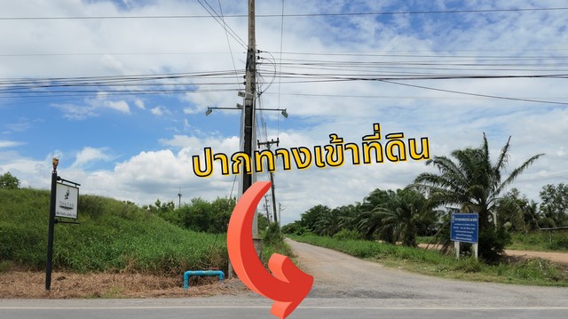 ประกาศฟรี! ซื้อ-ขาย-เช่า คอนโด บ้าน ทาวน์โฮม ที่ดิน และพื้นที่เชิงพาณิชย์ทั่วประเทศไทย ทุกทำเล ทุกงบประมาณ ไม่มีค่าใช้จ่าย ลงง่าย ขายไว เข้าถึงผู้ซื้อโดยตรง 5 296118pic4.jpg