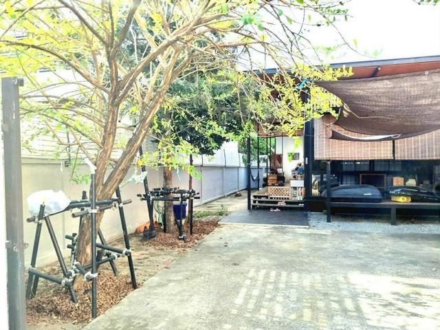 ประกาศฟรี! ซื้อ-ขาย-เช่า คอนโด บ้าน ทาวน์โฮม ที่ดิน และพื้นที่เชิงพาณิชย์ทั่วประเทศไทย ทุกทำเล ทุกงบประมาณ ไม่มีค่าใช้จ่าย ลงง่าย ขายไว เข้าถึงผู้ซื้อโดยตรง 5 516224pic4.jpg