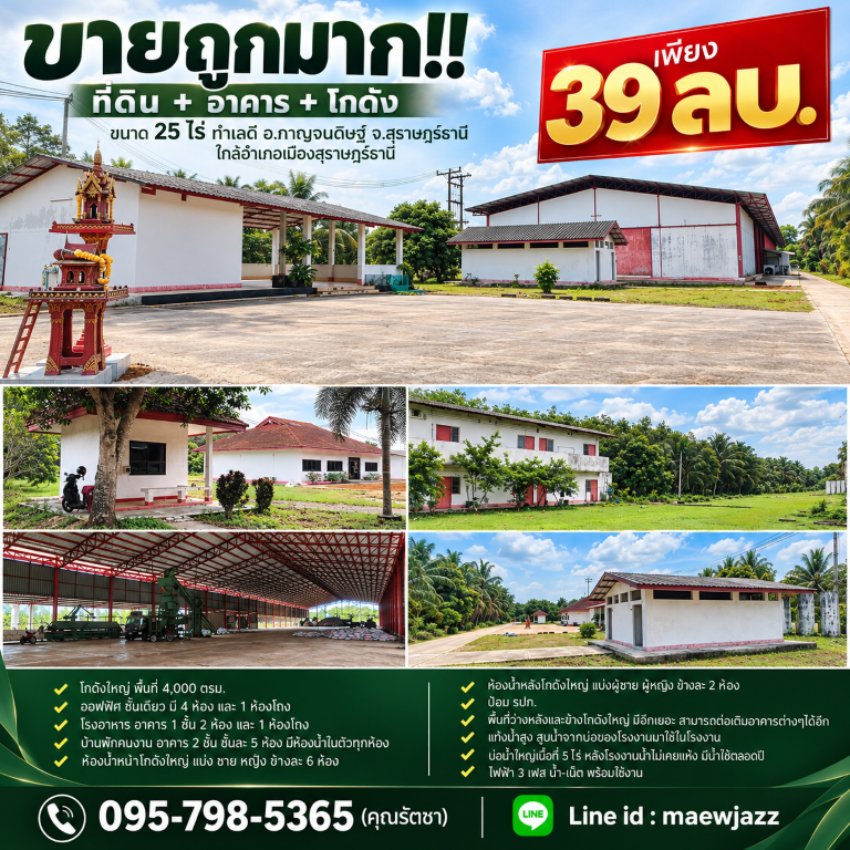 ประกาศฟรี! ซื้อ-ขาย-เช่า คอนโด บ้าน ทาวน์โฮม ที่ดิน และพื้นที่เชิงพาณิชย์ทั่วประเทศไทย ทุกทำเล ทุกงบประมาณ ไม่มีค่าใช้จ่าย ลงง่าย ขายไว เข้าถึงผู้ซื้อโดยตรง 2 1.png