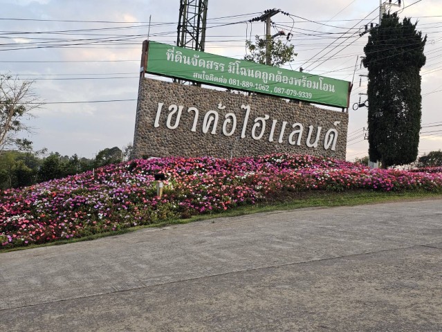 ประกาศฟรี! ซื้อ-ขาย-เช่า คอนโด บ้าน ทาวน์โฮม ที่ดิน และพื้นที่เชิงพาณิชย์ทั่วประเทศไทย ทุกทำเล ทุกงบประมาณ ไม่มีค่าใช้จ่าย ลงง่าย ขายไว เข้าถึงผู้ซื้อโดยตรง 2 297396pic1.jpg