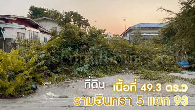 ประกาศฟรี! ซื้อ-ขาย-เช่า คอนโด บ้าน ทาวน์โฮม ที่ดิน และพื้นที่เชิงพาณิชย์ทั่วประเทศไทย ทุกทำเล ทุกงบประมาณ ไม่มีค่าใช้จ่าย ลงง่าย ขายไว เข้าถึงผู้ซื้อโดยตรง 2 260929pic1.jpg