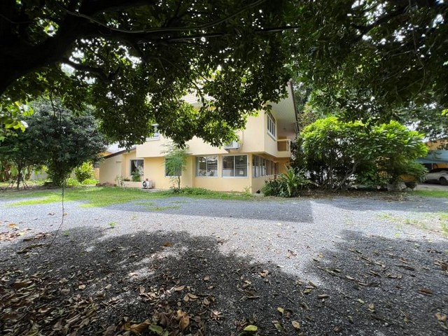 ประกาศฟรี! ซื้อ-ขาย-เช่า คอนโด บ้าน ทาวน์โฮม ที่ดิน และพื้นที่เชิงพาณิชย์ทั่วประเทศไทย ทุกทำเล ทุกงบประมาณ ไม่มีค่าใช้จ่าย ลงง่าย ขายไว เข้าถึงผู้ซื้อโดยตรง 4 474221pic3.jpg