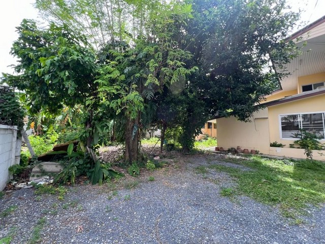 ประกาศฟรี! ซื้อ-ขาย-เช่า คอนโด บ้าน ทาวน์โฮม ที่ดิน และพื้นที่เชิงพาณิชย์ทั่วประเทศไทย ทุกทำเล ทุกงบประมาณ ไม่มีค่าใช้จ่าย ลงง่าย ขายไว เข้าถึงผู้ซื้อโดยตรง 5 474221pic4.jpg