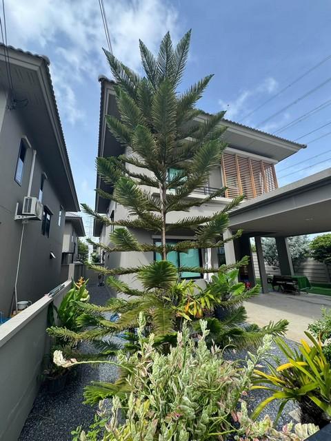 ประกาศฟรี! ซื้อ-ขาย-เช่า คอนโด บ้าน ทาวน์โฮม ที่ดิน และพื้นที่เชิงพาณิชย์ทั่วประเทศไทย ทุกทำเล ทุกงบประมาณ ไม่มีค่าใช้จ่าย ลงง่าย ขายไว เข้าถึงผู้ซื้อโดยตรง 2 536206pic1.jpg