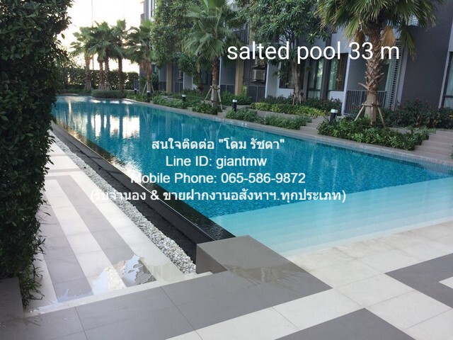 ประกาศฟรี! ซื้อ-ขาย-เช่า คอนโด บ้าน ทาวน์โฮม ที่ดิน และพื้นที่เชิงพาณิชย์ทั่วประเทศไทย ทุกทำเล ทุกงบประมาณ ไม่มีค่าใช้จ่าย ลงง่าย ขายไว เข้าถึงผู้ซื้อโดยตรง 4 21779pic3.jpg