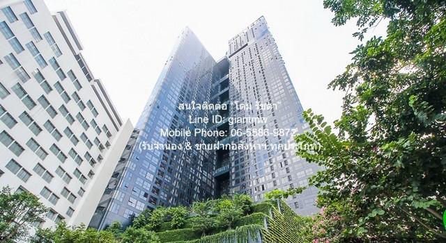 ประกาศฟรี! ซื้อ-ขาย-เช่า คอนโด บ้าน ทาวน์โฮม ที่ดิน และพื้นที่เชิงพาณิชย์ทั่วประเทศไทย ทุกทำเล ทุกงบประมาณ ไม่มีค่าใช้จ่าย ลงง่าย ขายไว เข้าถึงผู้ซื้อโดยตรง 2 286430pic1.jpg