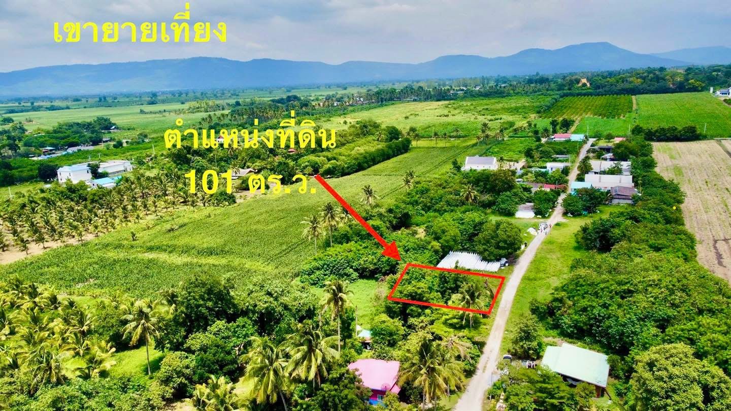 ประกาศฟรี! ซื้อ-ขาย-เช่า คอนโด บ้าน ทาวน์โฮม ที่ดิน และพื้นที่เชิงพาณิชย์ทั่วประเทศไทย ทุกทำเล ทุกงบประมาณ ไม่มีค่าใช้จ่าย ลงง่าย ขายไว เข้าถึงผู้ซื้อโดยตรง 2 297711pic1.jpg