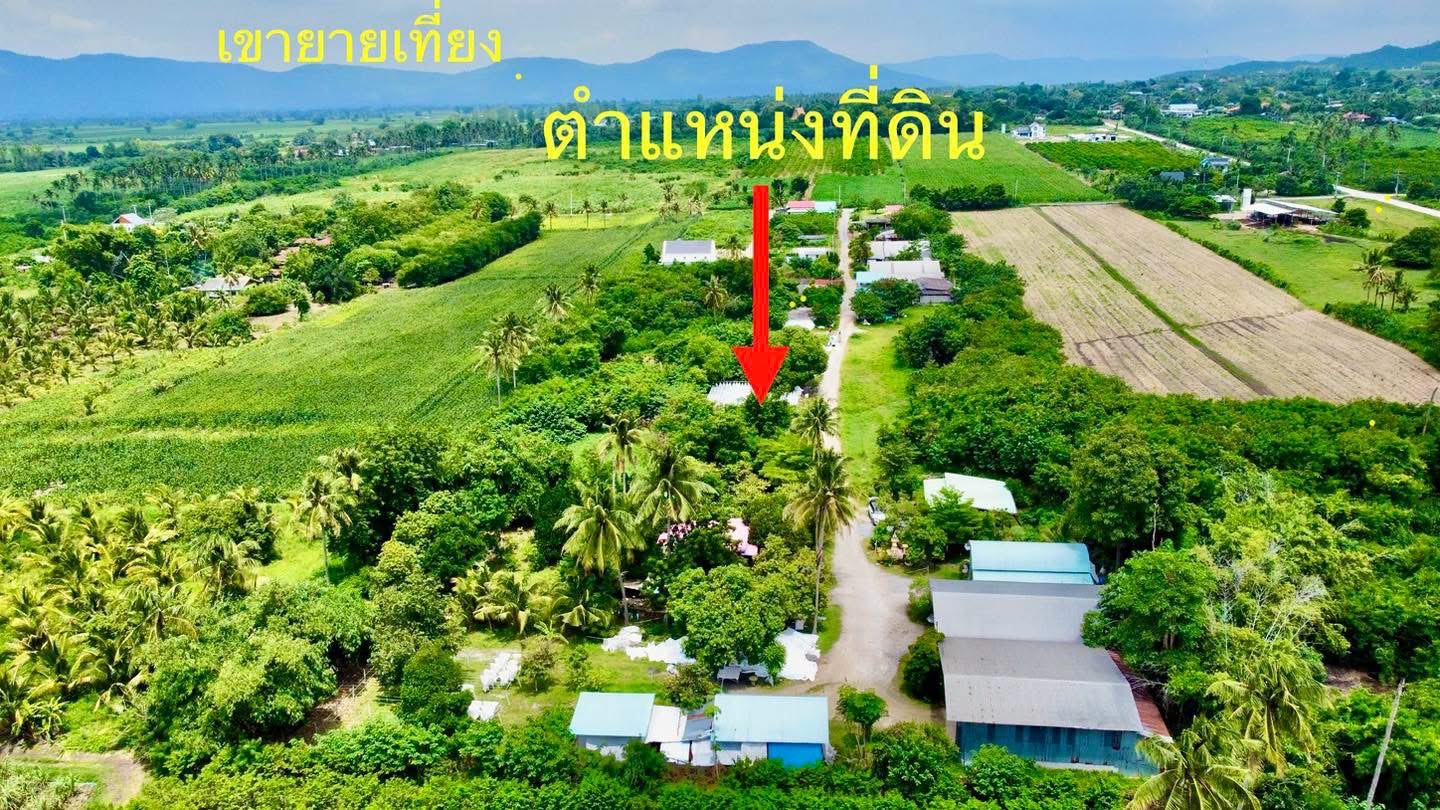 ประกาศฟรี! ซื้อ-ขาย-เช่า คอนโด บ้าน ทาวน์โฮม ที่ดิน และพื้นที่เชิงพาณิชย์ทั่วประเทศไทย ทุกทำเล ทุกงบประมาณ ไม่มีค่าใช้จ่าย ลงง่าย ขายไว เข้าถึงผู้ซื้อโดยตรง 3 297711pic2.jpg