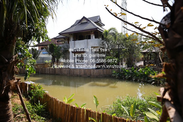 ประกาศฟรี! ซื้อ-ขาย-เช่า คอนโด บ้าน ทาวน์โฮม ที่ดิน และพื้นที่เชิงพาณิชย์ทั่วประเทศไทย ทุกทำเล ทุกงบประมาณ ไม่มีค่าใช้จ่าย ลงง่าย ขายไว เข้าถึงผู้ซื้อโดยตรง 2 285773pic1.jpg