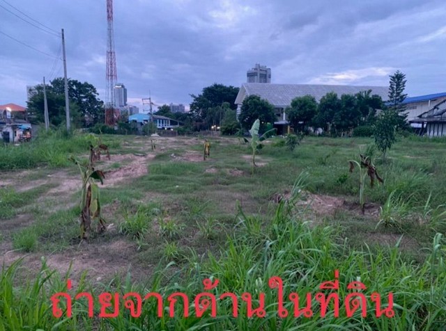 ประกาศฟรี! ซื้อ-ขาย-เช่า คอนโด บ้าน ทาวน์โฮม ที่ดิน และพื้นที่เชิงพาณิชย์ทั่วประเทศไทย ทุกทำเล ทุกงบประมาณ ไม่มีค่าใช้จ่าย ลงง่าย ขายไว เข้าถึงผู้ซื้อโดยตรง 4 313648pic3.jpg