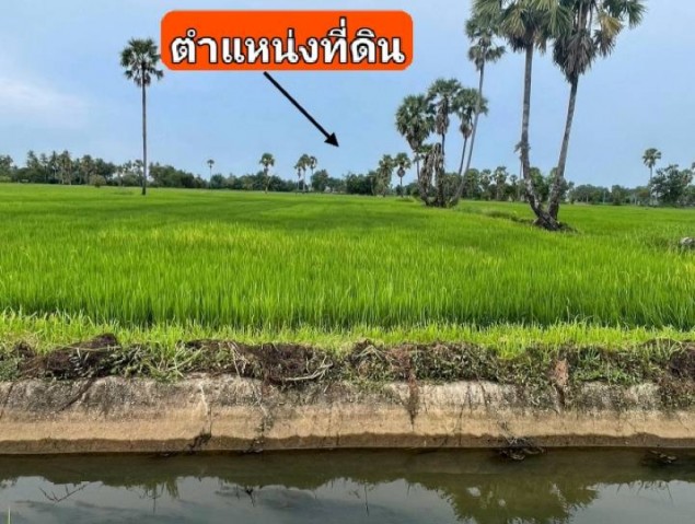 ประกาศฟรี! ซื้อ-ขาย-เช่า คอนโด บ้าน ทาวน์โฮม ที่ดิน และพื้นที่เชิงพาณิชย์ทั่วประเทศไทย ทุกทำเล ทุกงบประมาณ ไม่มีค่าใช้จ่าย ลงง่าย ขายไว เข้าถึงผู้ซื้อโดยตรง 2 297765pic1.jpg