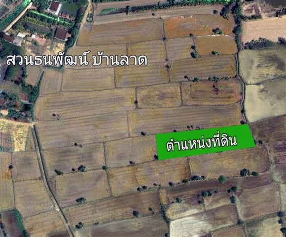 ประกาศฟรี! ซื้อ-ขาย-เช่า คอนโด บ้าน ทาวน์โฮม ที่ดิน และพื้นที่เชิงพาณิชย์ทั่วประเทศไทย ทุกทำเล ทุกงบประมาณ ไม่มีค่าใช้จ่าย ลงง่าย ขายไว เข้าถึงผู้ซื้อโดยตรง 4 297765pic3.jpg