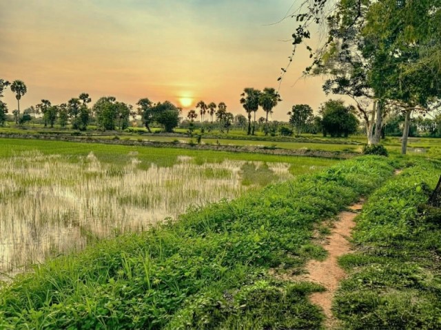 ประกาศฟรี! ซื้อ-ขาย-เช่า คอนโด บ้าน ทาวน์โฮม ที่ดิน และพื้นที่เชิงพาณิชย์ทั่วประเทศไทย ทุกทำเล ทุกงบประมาณ ไม่มีค่าใช้จ่าย ลงง่าย ขายไว เข้าถึงผู้ซื้อโดยตรง 5 297765pic4.jpg