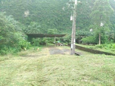 ประกาศฟรี! ซื้อ-ขาย-เช่า คอนโด บ้าน ทาวน์โฮม ที่ดิน และพื้นที่เชิงพาณิชย์ทั่วประเทศไทย ทุกทำเล ทุกงบประมาณ ไม่มีค่าใช้จ่าย ลงง่าย ขายไว เข้าถึงผู้ซื้อโดยตรง 2 294880pic1.jpg