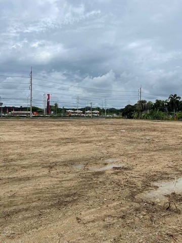 ประกาศฟรี! ซื้อ-ขาย-เช่า คอนโด บ้าน ทาวน์โฮม ที่ดิน และพื้นที่เชิงพาณิชย์ทั่วประเทศไทย ทุกทำเล ทุกงบประมาณ ไม่มีค่าใช้จ่าย ลงง่าย ขายไว เข้าถึงผู้ซื้อโดยตรง 3 297839pic2.jpg