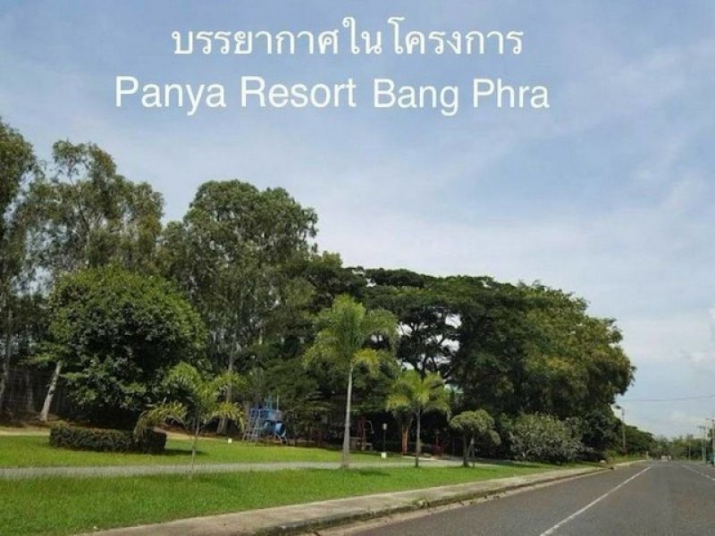 ประกาศฟรี! ซื้อ-ขาย-เช่า คอนโด บ้าน ทาวน์โฮม ที่ดิน และพื้นที่เชิงพาณิชย์ทั่วประเทศไทย ทุกทำเล ทุกงบประมาณ ไม่มีค่าใช้จ่าย ลงง่าย ขายไว เข้าถึงผู้ซื้อโดยตรง 3 328931pic2.jpg
