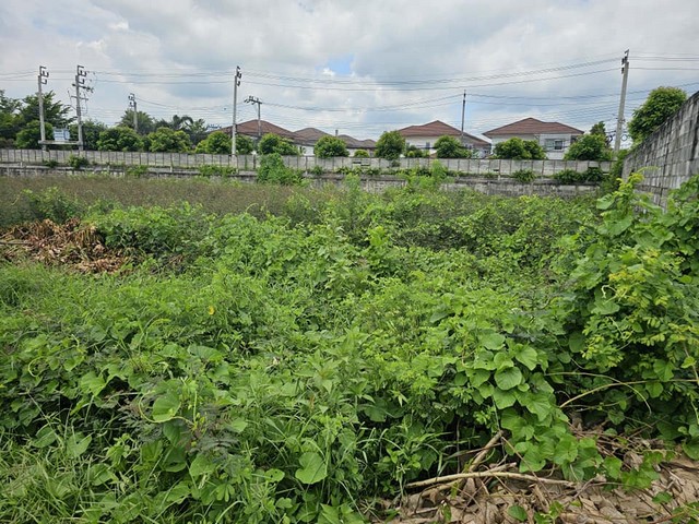 ประกาศฟรี! ซื้อ-ขาย-เช่า คอนโด บ้าน ทาวน์โฮม ที่ดิน และพื้นที่เชิงพาณิชย์ทั่วประเทศไทย ทุกทำเล ทุกงบประมาณ ไม่มีค่าใช้จ่าย ลงง่าย ขายไว เข้าถึงผู้ซื้อโดยตรง 3 275632pic2.jpg