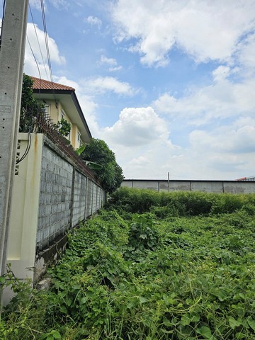 ประกาศฟรี! ซื้อ-ขาย-เช่า คอนโด บ้าน ทาวน์โฮม ที่ดิน และพื้นที่เชิงพาณิชย์ทั่วประเทศไทย ทุกทำเล ทุกงบประมาณ ไม่มีค่าใช้จ่าย ลงง่าย ขายไว เข้าถึงผู้ซื้อโดยตรง 4 275632pic3.jpg